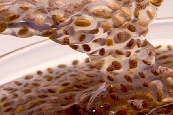 Već tog dana ćete ići u wc! Moćni napitak koji zovu "unutrašnji tuš", jer čisti creva