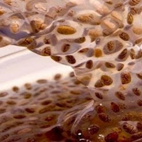 Već tog dana ćete ići u wc! Moćni napitak koji zovu "unutrašnji tuš", jer čisti creva