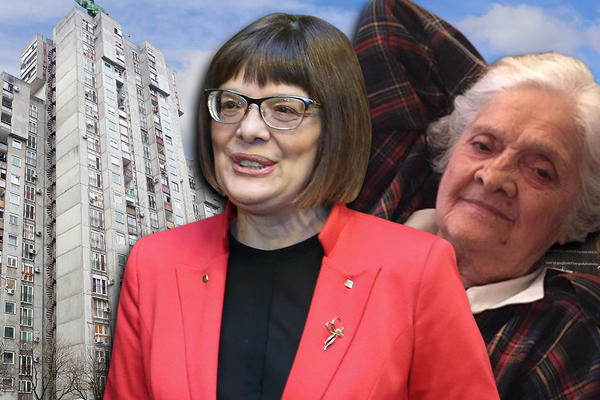 MA, KAKVA VULINOVA TETKA, MAJKA MAJE GOJKOVIĆ JE POBEDILA! 3 stana, 4 kuće, zgrade, voćnjaci, vinogradi...