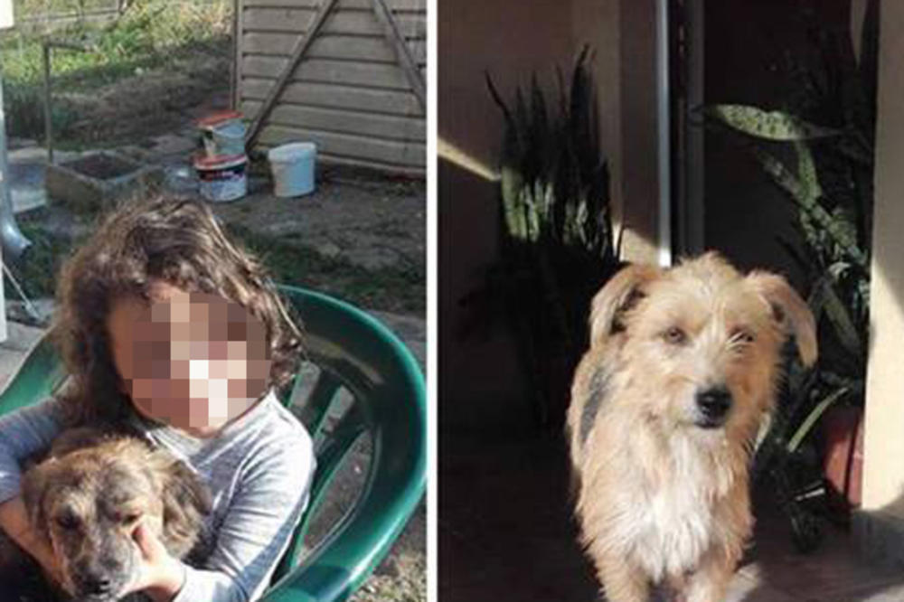 OTROVALI DVA KUČETA: Psi su umrli u nagorim mukama a još se ne zna ko je MONSTRUM koji je sipao otrov pored Srebrnog jezera!