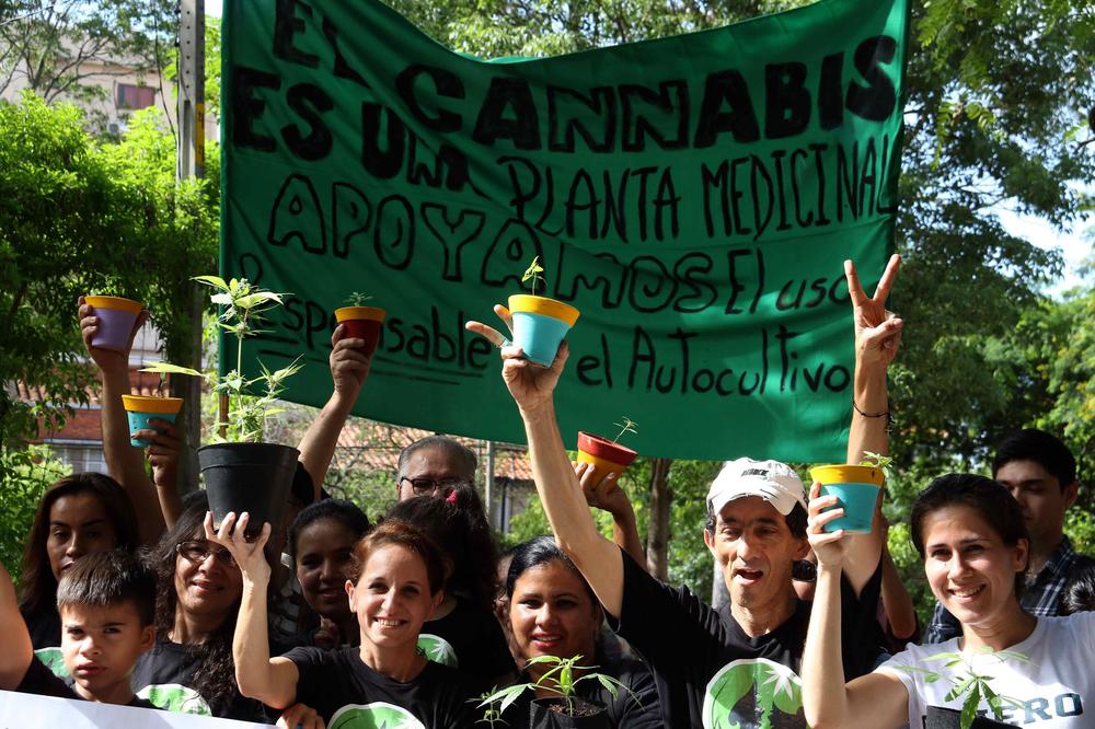 Crnogorci zarađuju i do 900 dolara DNEVNO! U Kaliforniji NUDE POSAO IZ SNOVA ZA MNOGE