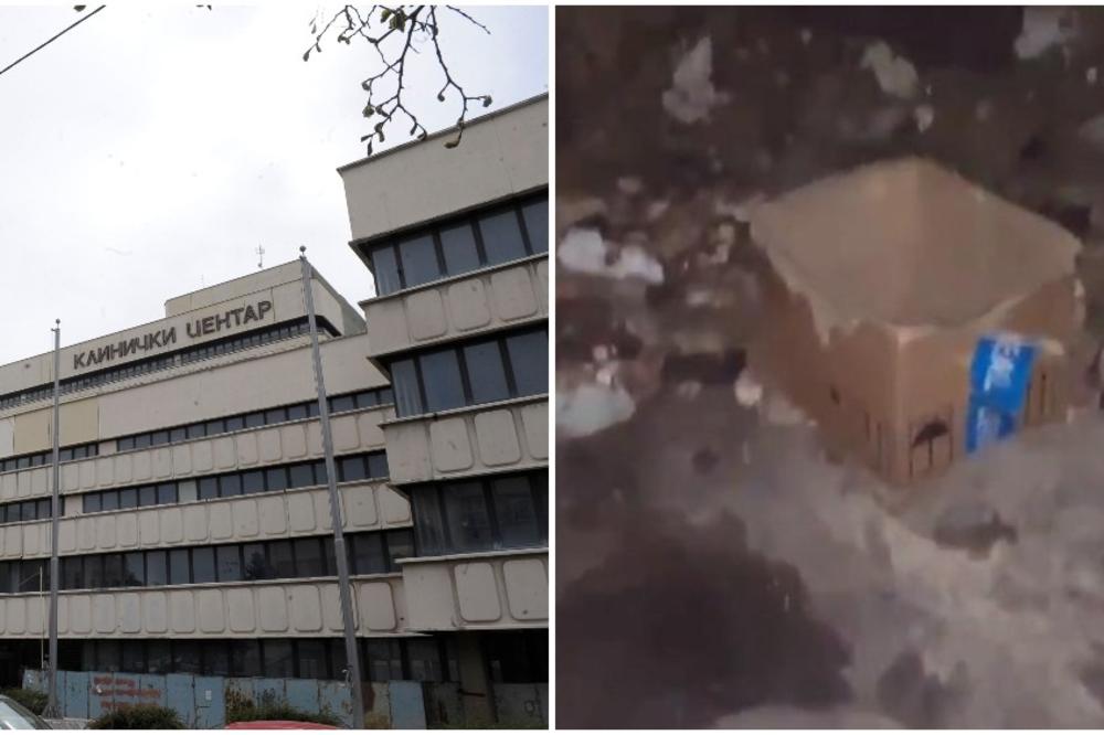 PACOVI I GOMILA ĐUBRETA! Ovo je snimljeno u Kliničkom centru Srbije, i to u blizini KUHINJE! (VIDEO)