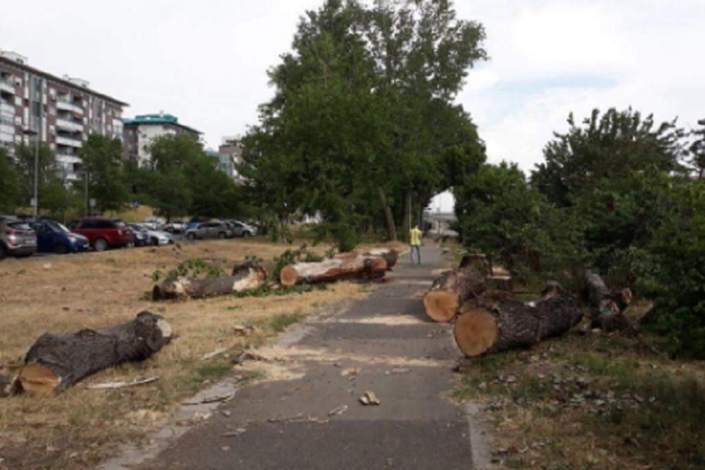 SLIKA IZ BG BLOKA ŠOKIRALA SVE: Ko ovo radi i ZAŠTO? (FOTO)