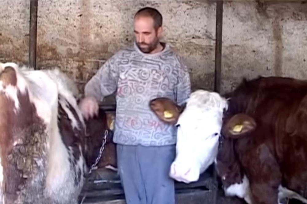 SELJAK IZ KURŠUMLIJE TRAŽI DA SA NJIM U ZATVOR IDE I 26 NJEGOVIH KRAVA: Ovakav zahtev srpski sistem nije imao do sada!