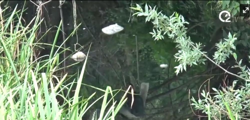 Reka Mlakva kod Vladimiraca postala POTPUNO CRNA