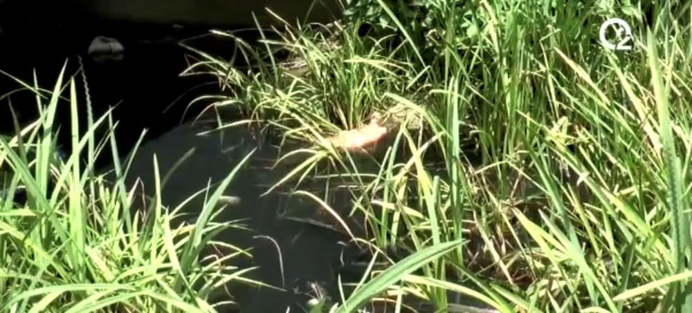 Reka Mlakva kod Vladimiraca postala POTPUNO CRNA