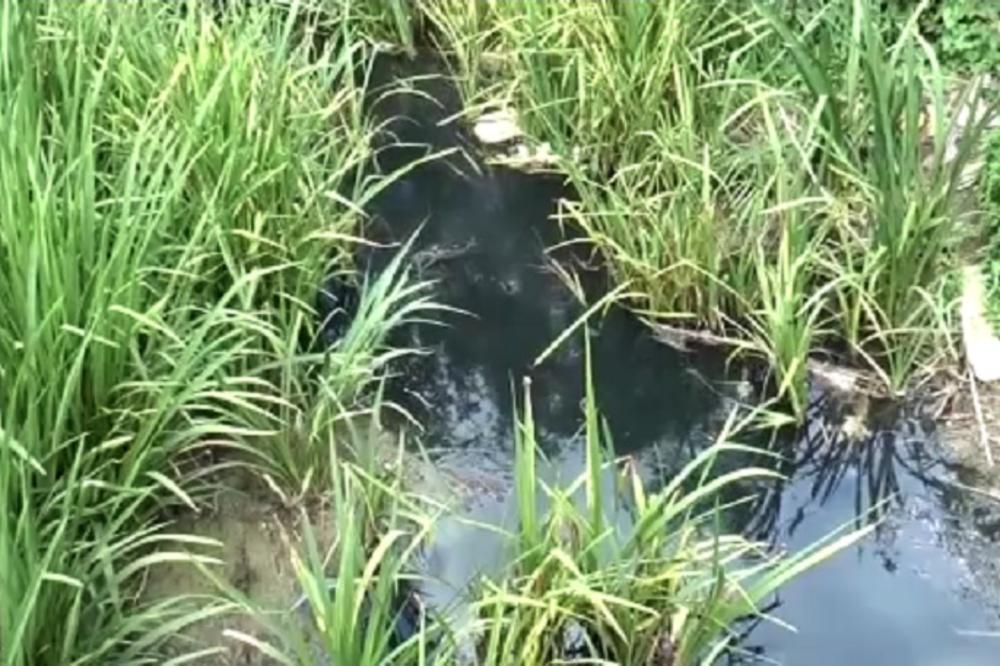 ŠTA SE OVO DEŠAVA? Reka u Srbiji postala POTPUNO CRNA!