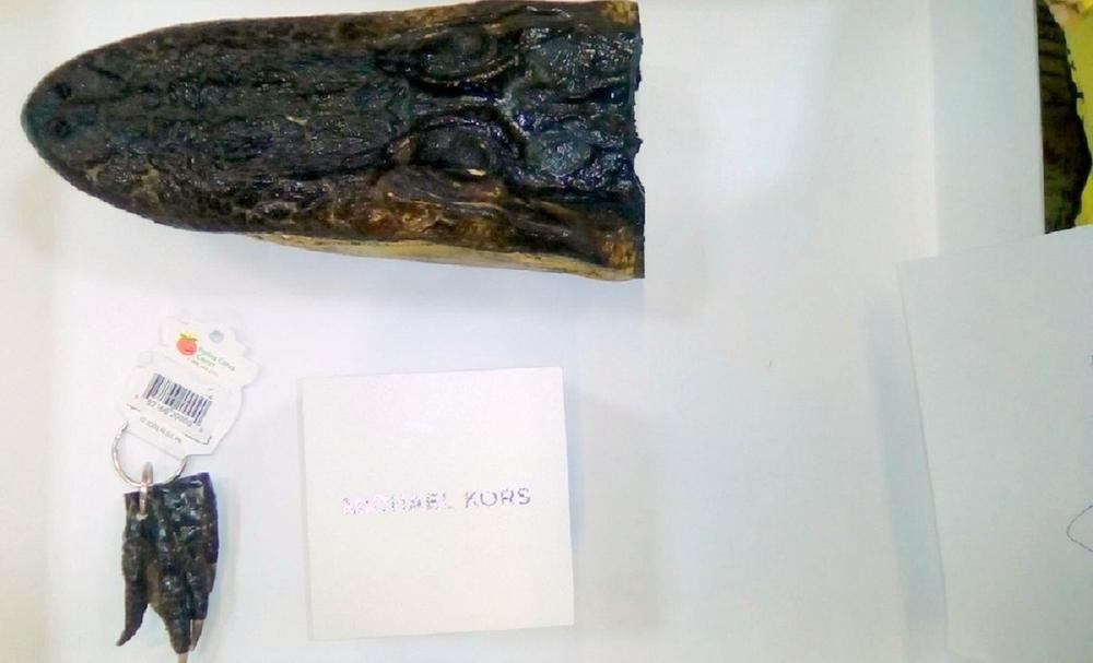 Glava i noga aligatora sa satom