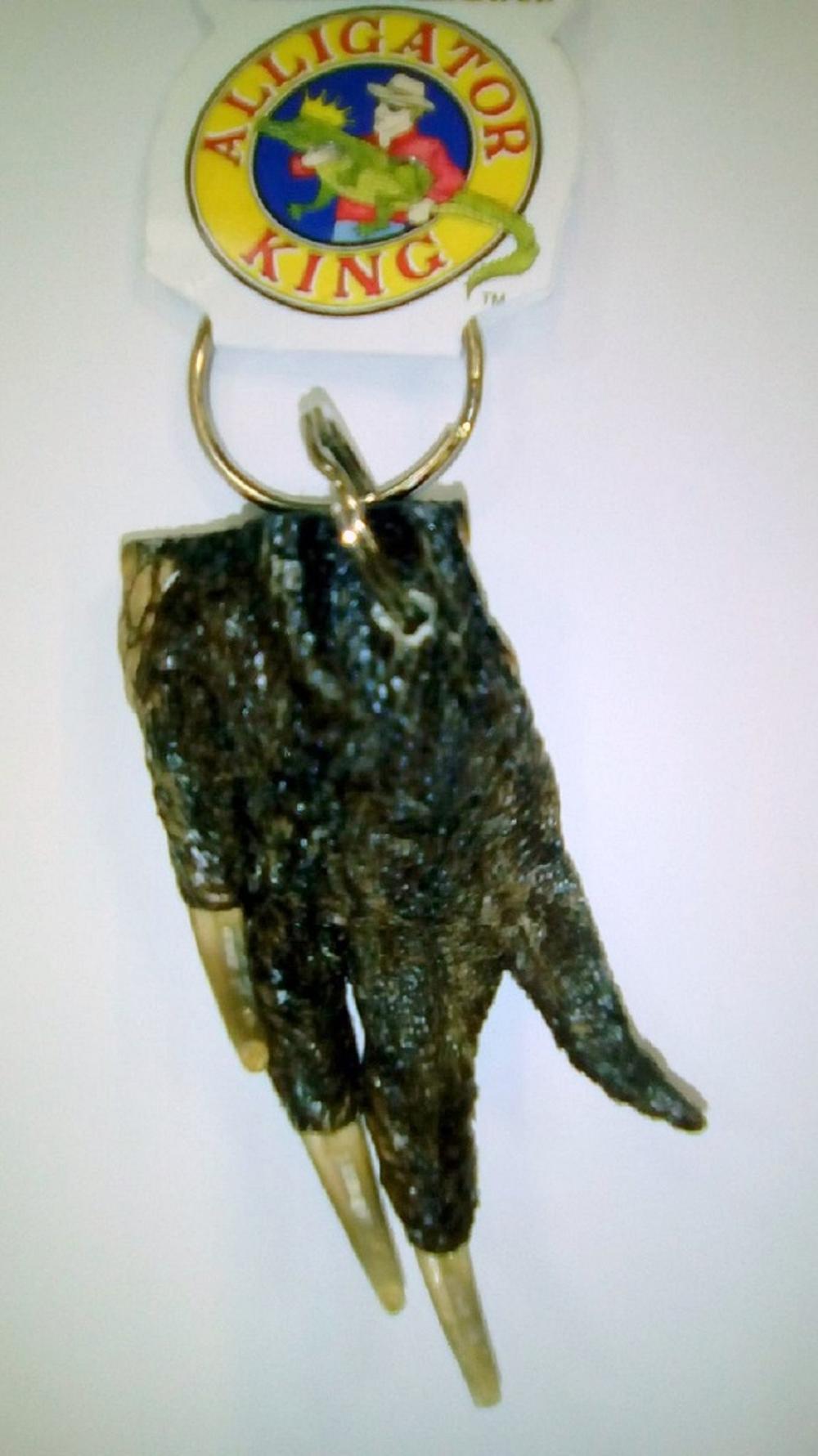 Preparirana šapa krokodila u pošiljci