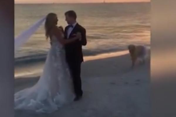 MLADENCI SU PLESALI PRVI PLES NA PLAŽI: A onda je ONA uletala i sve pokvarila! (VIDEO)