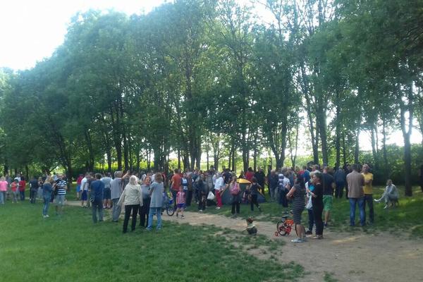 PROTEST NA PETLOVOM BRDU ZBOG SEČE ŠUME! Građani ujedinjeni: NE DAMO BORIĆE (FOTO)