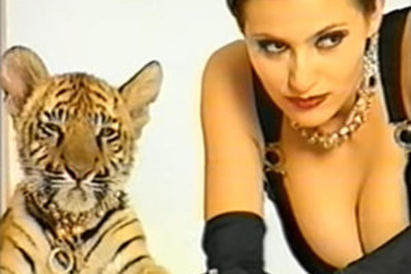 TIGAR IZ CECINOG SPOTA je '90ih bio hit, ali sada je estrada dobila novog ljubimca koji preti da nadmaši ARKANOVOG MEZIMCA! (VIDEO)