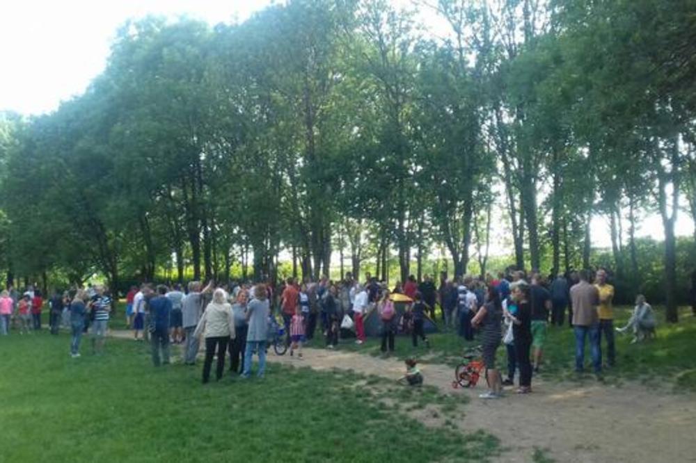 BORIĆI PALI, STABLA ISEČENA UZ ASISTENCIJU POLICIJE: Građani se VEZIVALI LANCIMA za drveće, ali uzalud (FOTO)