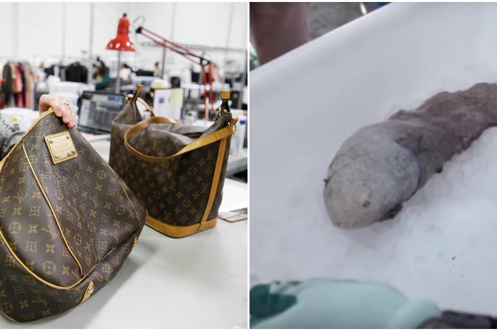 Nova kraljica Instagrama fura svoj fazon: BAKA KORISTILA LUJ VITON TORBICU OD 30.000 EVRA KAKO BI NOSILA RIBU!