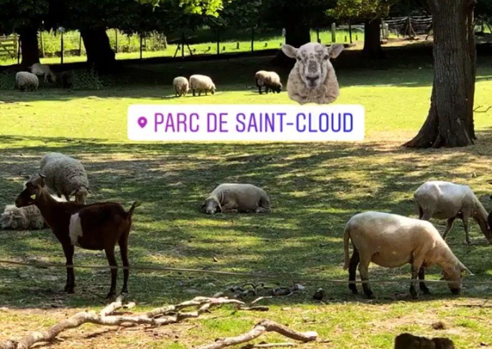 Novak Đoković je proveo dan uživajući s porodicom u pariskom zoološkom vrtu