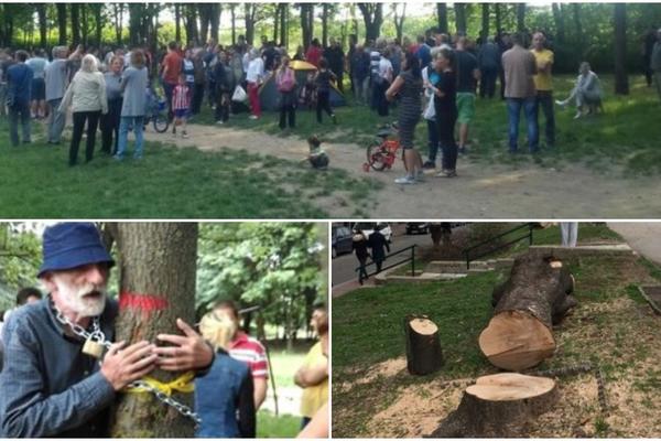 BEOGRAD NA BETONU: Nekad je odisao zelenilom, a sad je ostao samo ASFALT! Da li znate gde je sve izvršena ČISTKA? (FOTO)