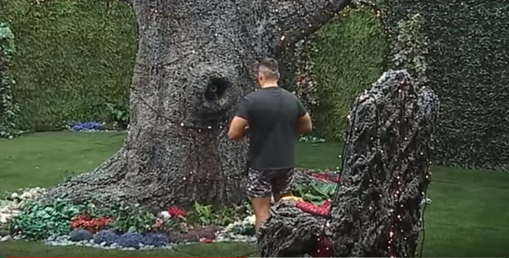 Sloba Radanović moli Drvo mudrosti da mu pomogne oko poklona za Kiju