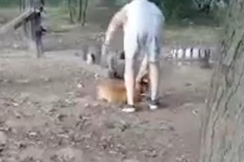 SCENA KOJA KIDA SRCE: Čovek krvnički TUČE svog PSA! Jadna životinja samo ĆUTI U STRAHU! (UZNEMIRUJUĆI VIDEO)