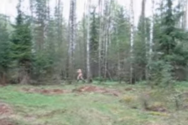 HOROR VREBA DEVOJKE IZ KRAGUJEVCA! Na ovoj popularnoj lokaciji napada NAG MANIJAK! (FOTO)