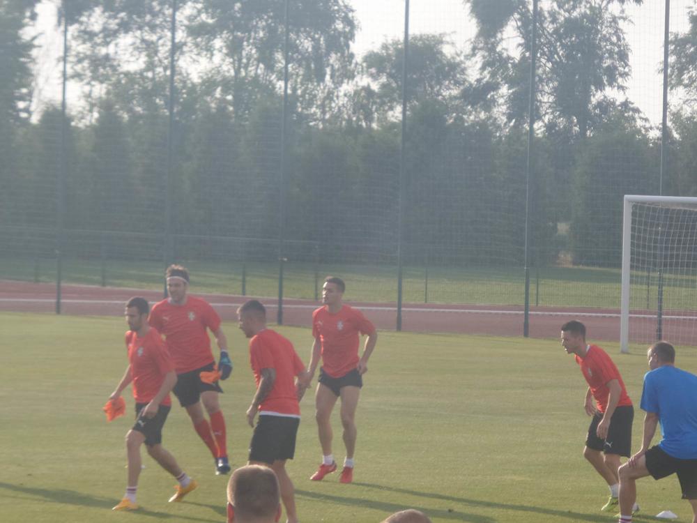 Reprezentativci Srbije na treningu u Staroj Pazovi  