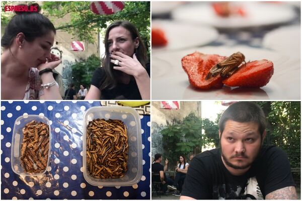 JELI SMO SKAKAVCE I LARVE U CENTRU BEOGRADA: U glavi nam je sve vreme bila samo JEDNA MISAO! (FOTO)