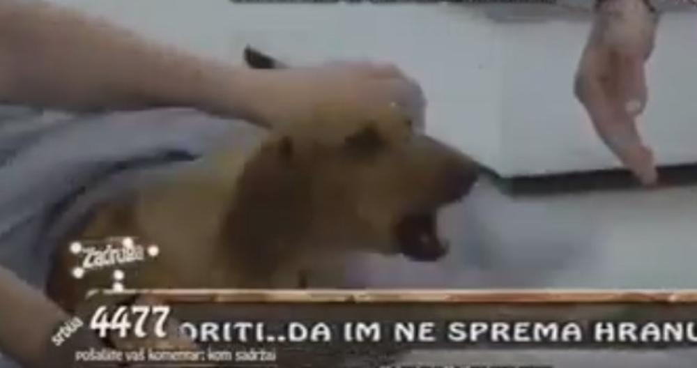 Žuta je već mesecima u Zadruzi  