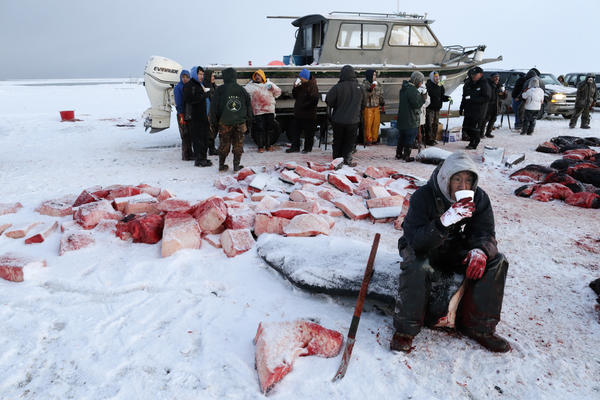 OVAJ VIC ĆETE DANIMA PREPRIČAVATI KOLIKO JE DOBAR: Kupuje Eskim frižider, pa ga pitaju...