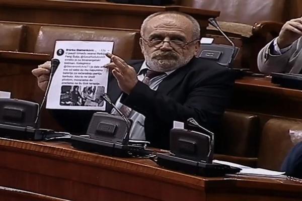 NADRILEKARSTVO I VUDU LUTKE U SKUPŠTINI: Rističević pokazao fotografiju na kojoj dve poslanice leče Radulovića BIOENERGIJOM! (VIDEO)