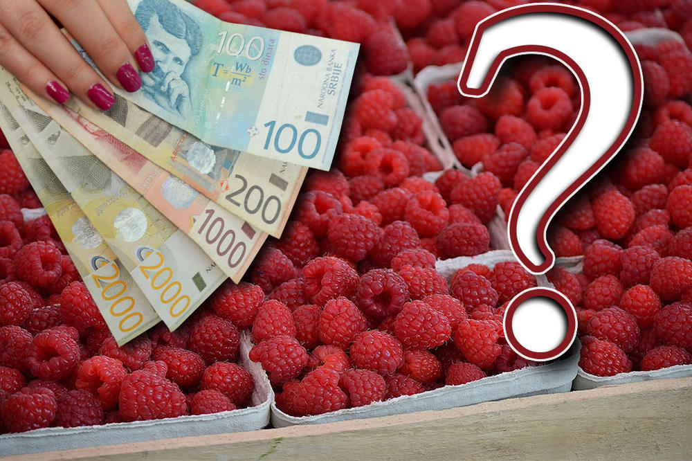 KO JE OVDE LUD, KO SE OVDE UGRAĐUJE? Kilogram malina u prodavnici 2.815 dinara, a od seljaka ih otkupljuju za 100 dinara?! (FOTO)