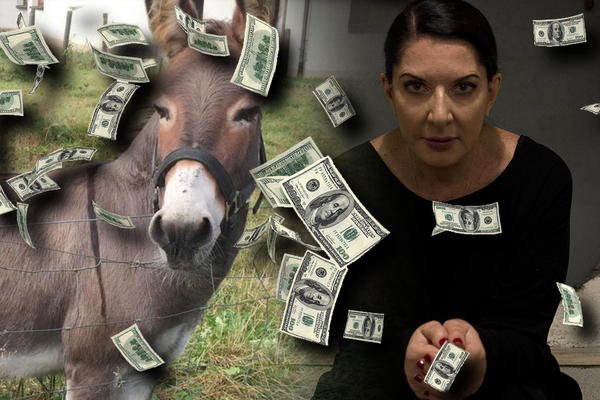 MUZEJ SAVREMENE UMETNOSTI DAO VIŠE OD 100.000 DOLARA ZA DVD U KOME MARINA ABRAMOVIĆ GLEDA U MAGARCA: Ko je ovde u stvari magarac? (FOTO)