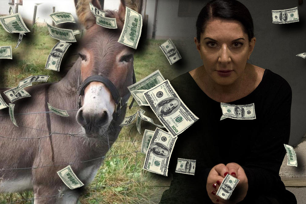 MUZEJ SAVREMENE UMETNOSTI DAO VIŠE OD 100.000 DOLARA ZA DVD U KOME MARINA ABRAMOVIĆ GLEDA U MAGARCA: Ko je ovde u stvari magarac? (FOTO)