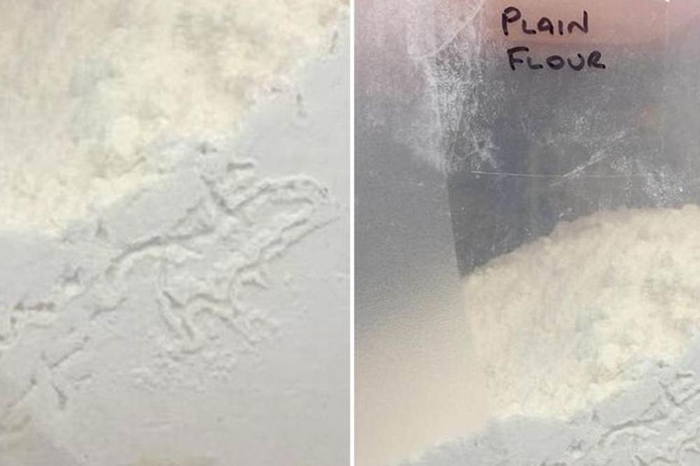 PRIMETILA JE NEŠTO ČUDNO U BRAŠNU I ZGROZILA SE! Ako vidite OVO, odmah ga BACITE, jako je OPASNO!