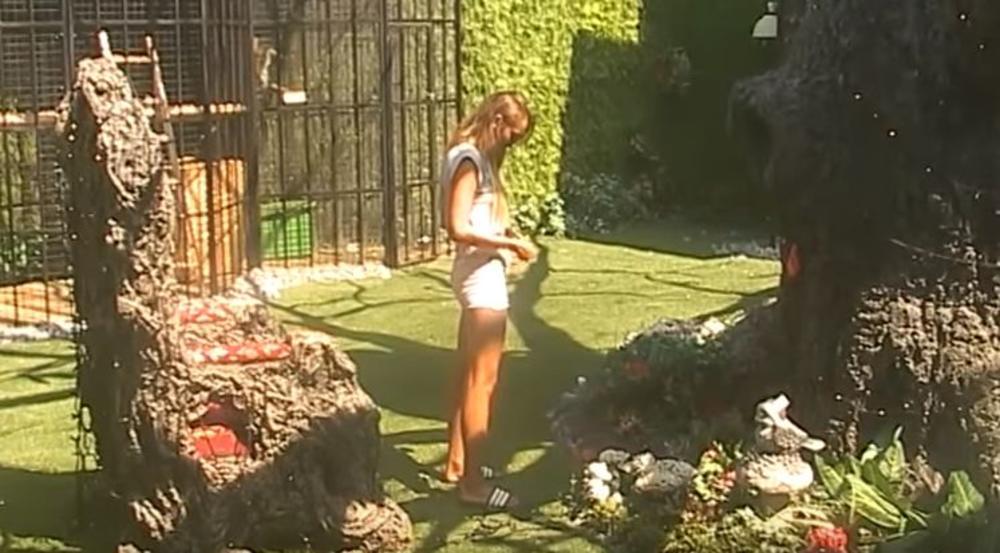 Luna se ispovedila Drvetu