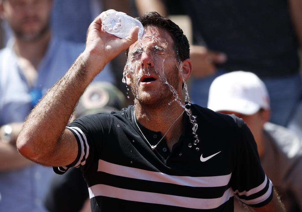 Huan Martin del Potro  