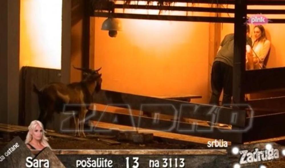 Luna više ne može da izdrži