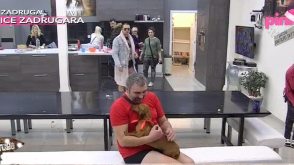 Miki bi voleo da Žuta bude učesnik i Zadruge 2, ali da za to uzme honorar  