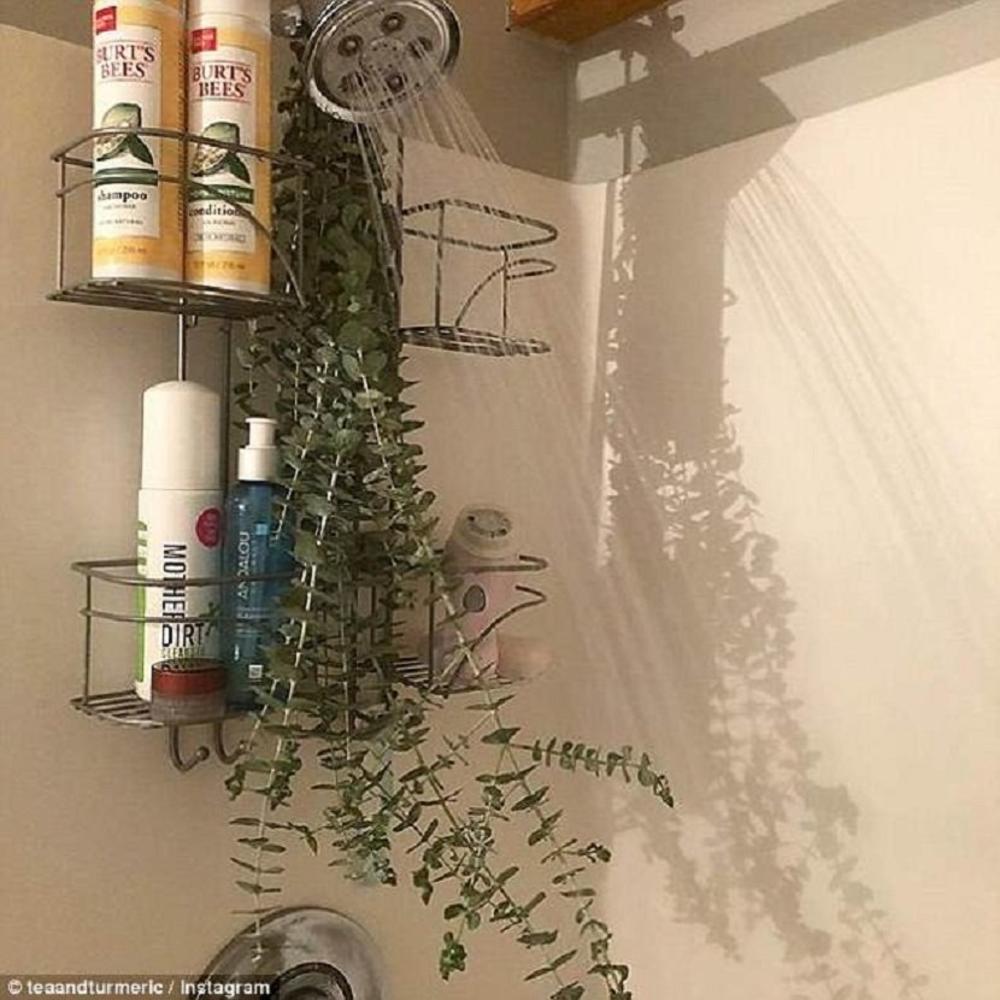 Ovaj neobični tuš dobar je i za imunitet  