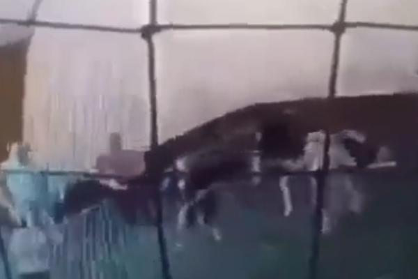 BRUTALNO PRETUČEN DELIJA: Navijači Vojvodine otkinuli od batina pristalicu Zvezde usred balona za fudbal! (VIDEO)