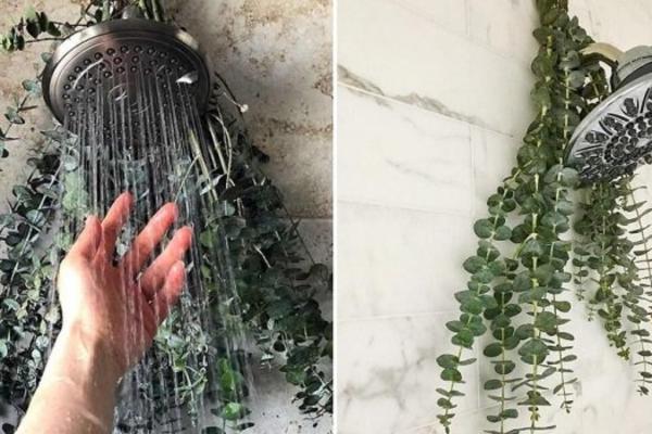 Stavila je lišće jedne biljke na tuš: Rezultat koji je dobila nateraće i vas da učinite isto!