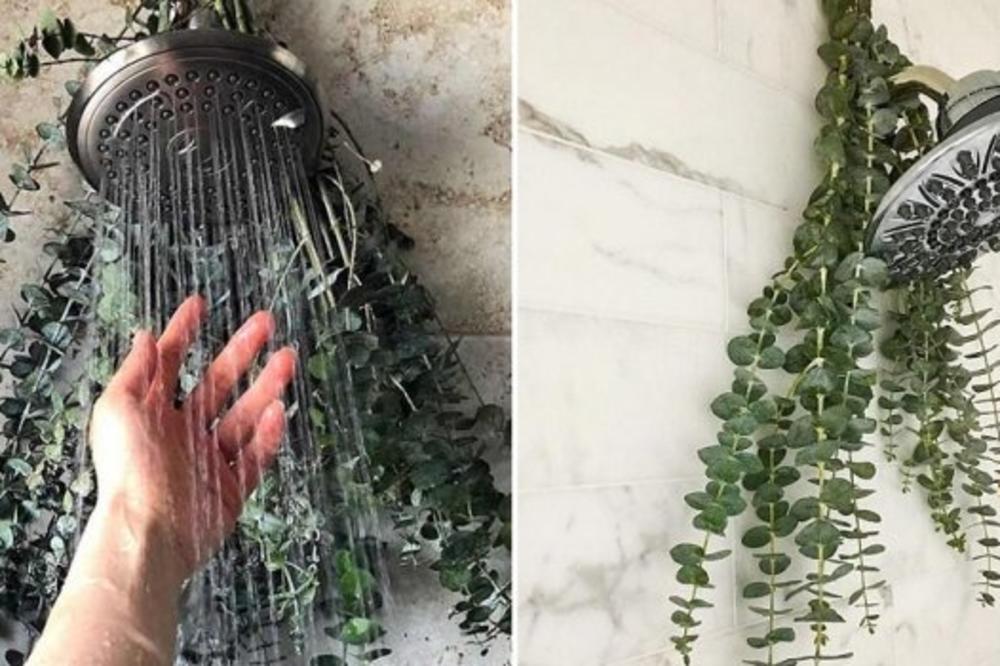 Stavila je lišće jedne biljke na tuš: Rezultat koji je dobila nateraće i vas da učinite isto!