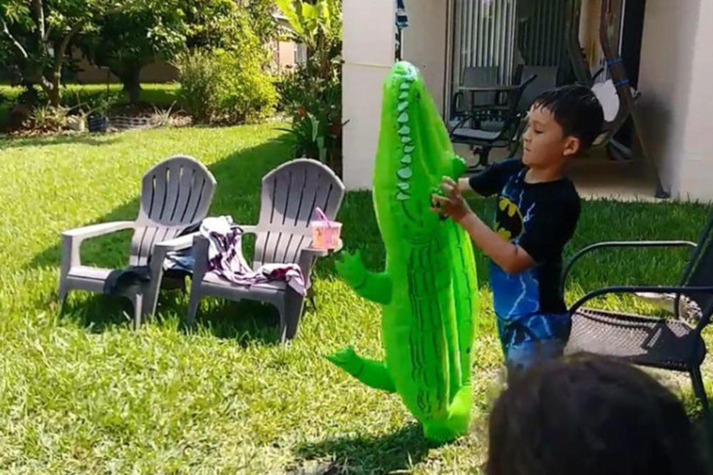 DEČAK SE IGRAO U DVORIŠTU, A ONDA SE IZA NJEGA POJAVILA OPASNA ŽIVOTINJA: Kamera sve zabeležila, DETE SE PRESTRAVILO (VIDEO)