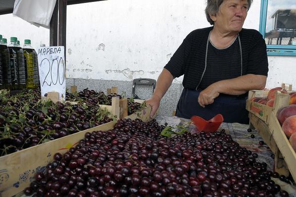 NOVA FRKA NAKON MALINA: Neizvesna berba višanja u merošinskom kraju zbog niske otkupne cene!