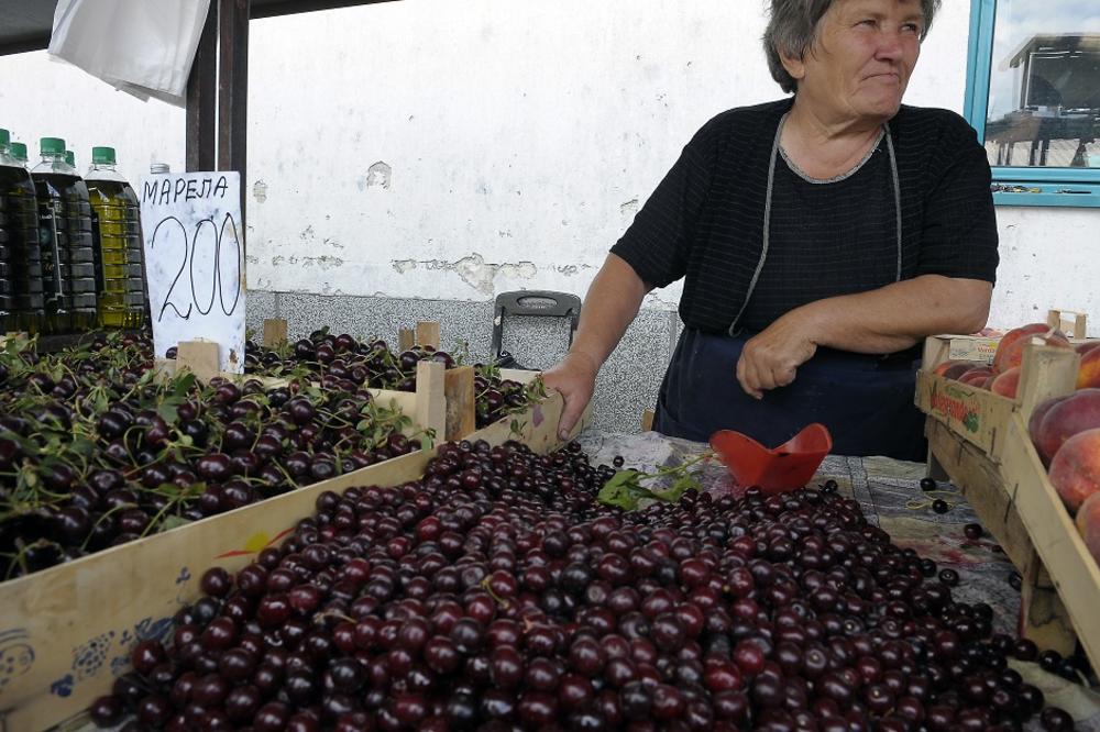 NOVA FRKA NAKON MALINA: Neizvesna berba višanja u merošinskom kraju zbog niske otkupne cene!