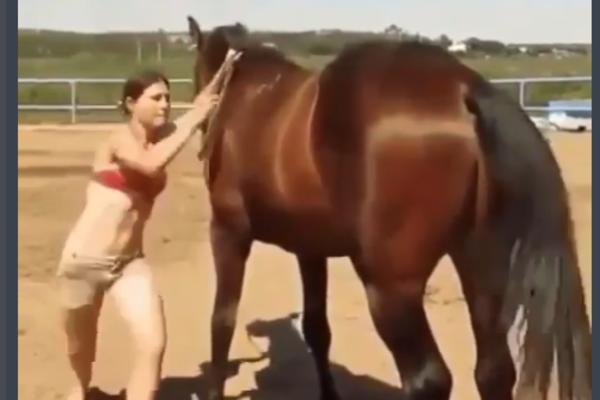 NEUSPEŠNO JE POKUŠAVALA DA ZAJAŠE KONJA: Ono što je zatim životinja uradila ODUŠEVILO je sve! (VIDEO)