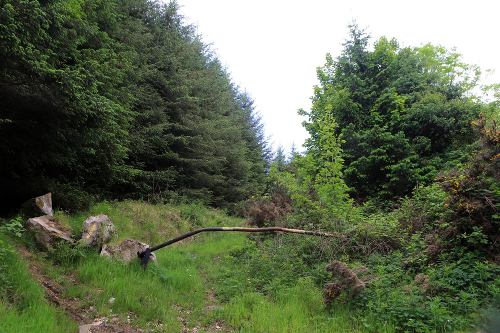 NISU VEROVALI SVOJIM OČIMA ŠTA VIDE! Dvogodišnja devojčica nestala iz bakine kuće usred noći, policajci se zaprepastili kad su je ugledali! (FOTO)