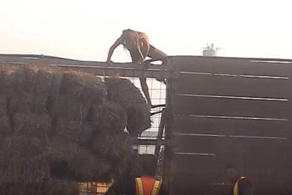SVE ZBOG LUNE ĐOGANI: Nadežda PRESKOČILA OGRADU i pobegla iz rijalitija zbog blogerke, niko nije mogao da je zaustavi (VIDEO)