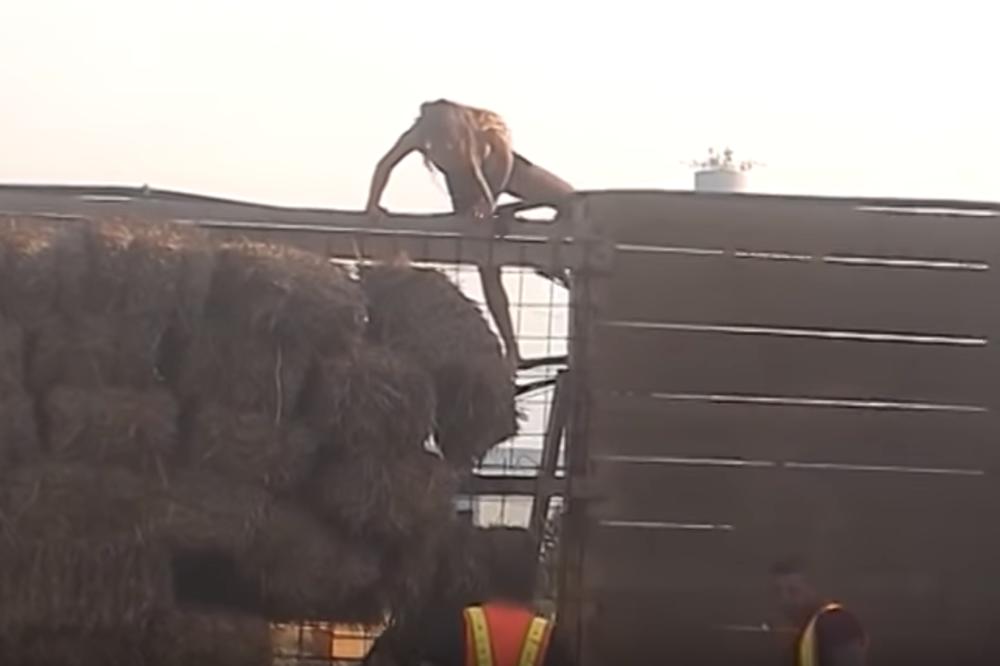 RASKRINKANO NADEŽDINO BEKSTVO IZ ZADRUGE Otkrila tajni dogovor sa produkcijom pa svalila sve na Lunu: Puštate da jedna Luna p*ša i s*re po meni