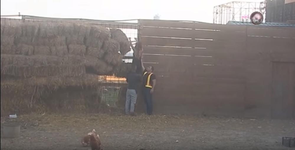 Milan Milošević i momak iz obezbeđenja su pokušali da je zaustave, ali bezuspešno  