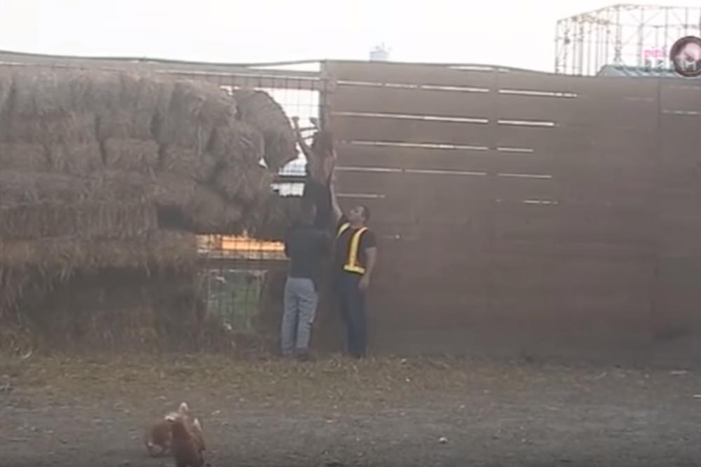 NADEŽDINA MAJKA OTKRIVA ŠTA SE DEŠAVA SA NADEŽDOM NAKON BEKSTVA IZ ZADRUGE: Ona je u psihičkom rastrojstvu, izgubiće SVE