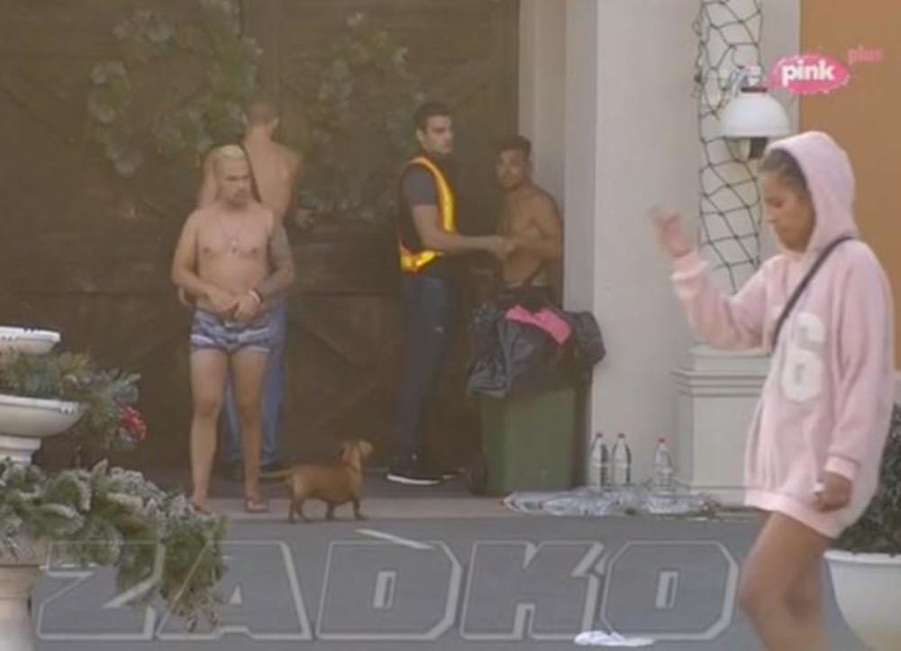 Bora poludeo zbog šamara